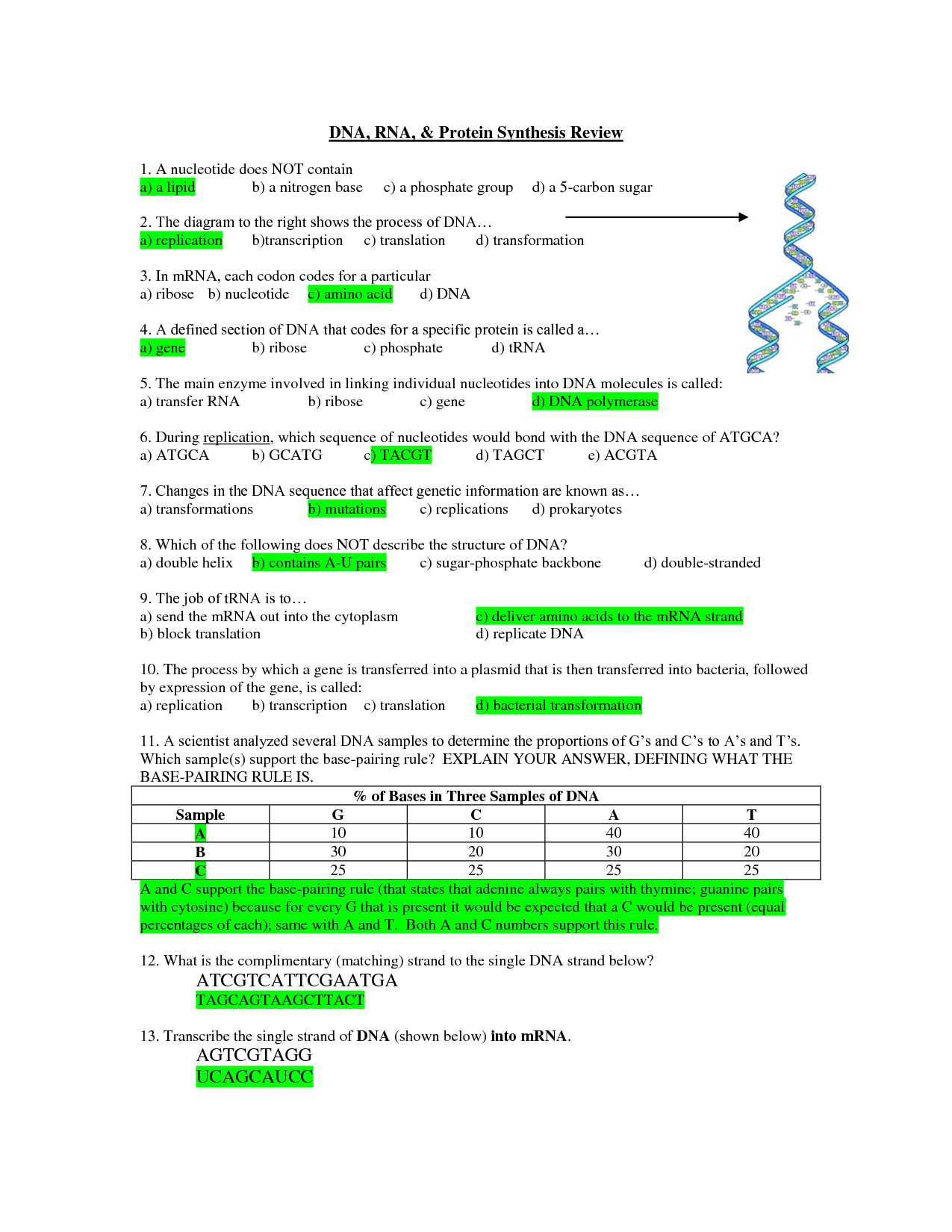 Dna Protein Synthesis Review Worksheet as Well as Dna Rna and Protein Synthesis Worksheet Image Collections